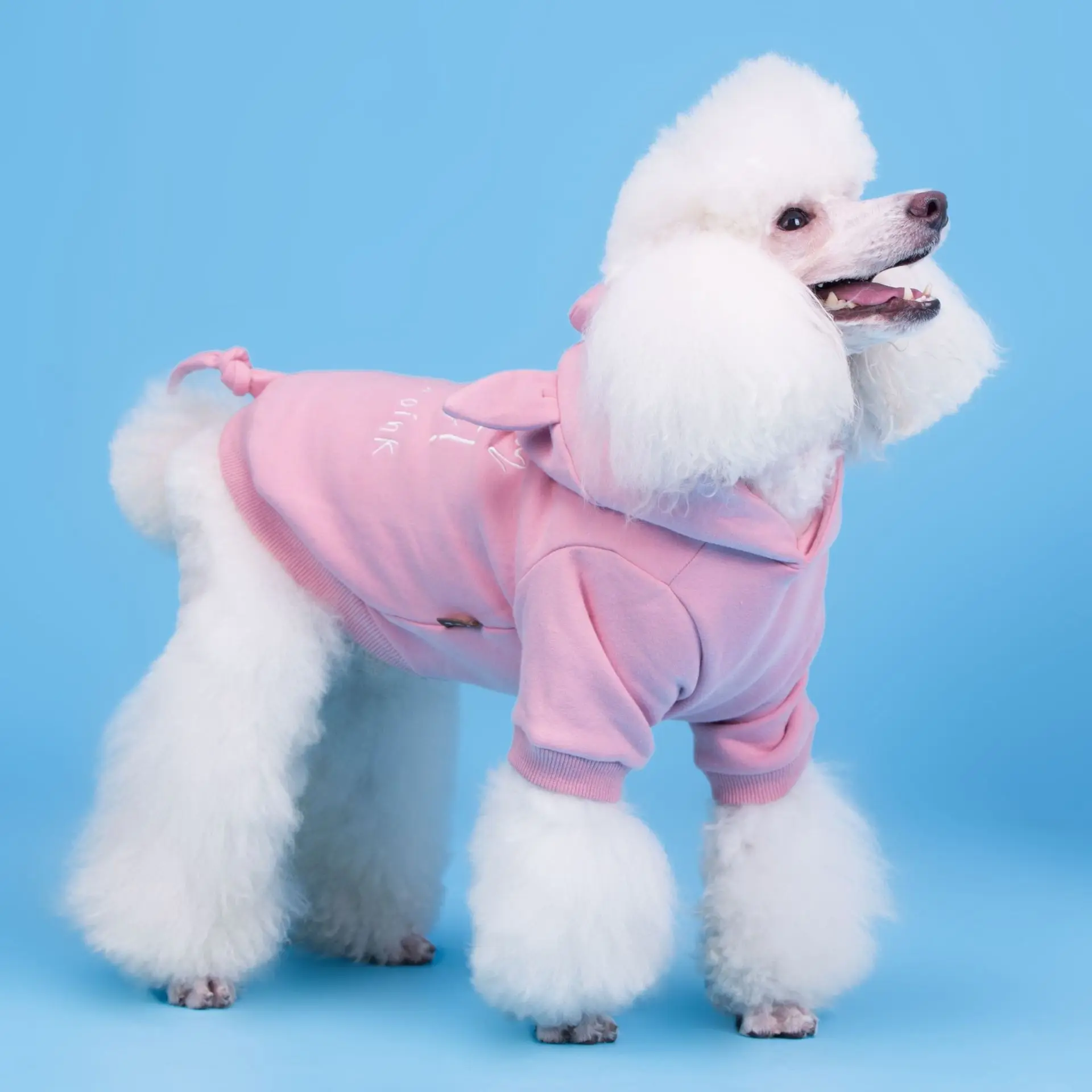 Kore Tarzı Kış Giysileri Yeni Köpek Domuz Domuz Dönüşüm Hoodie Kaniş Sevimli Evcil Hayvan Giyim Görüntü 2