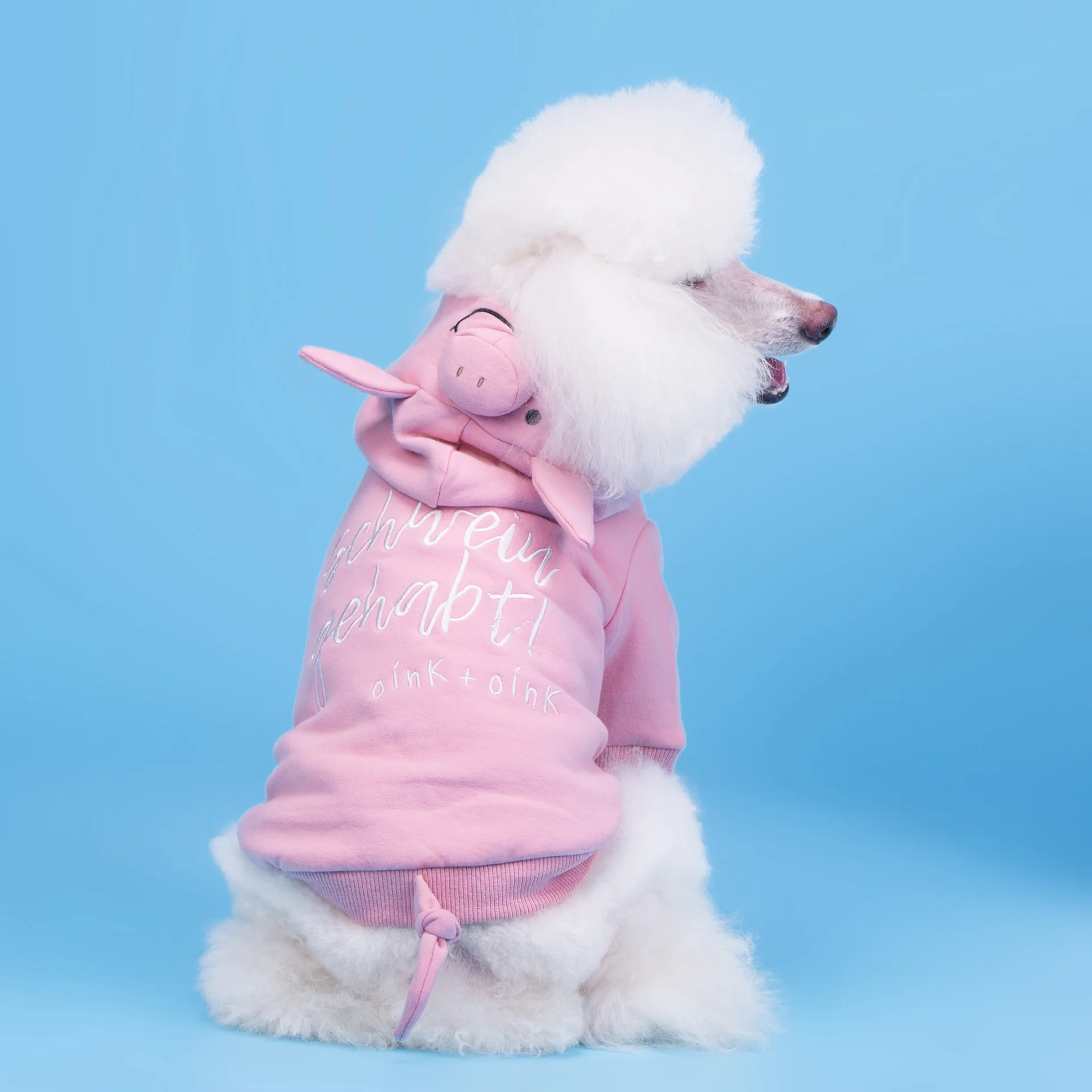 Kore Tarzı Kış Giysileri Yeni Köpek Domuz Domuz Dönüşüm Hoodie Kaniş Sevimli Evcil Hayvan Giyim Görüntü 3
